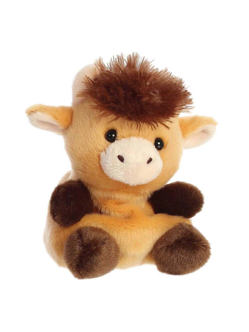 Hubert Highland Cow